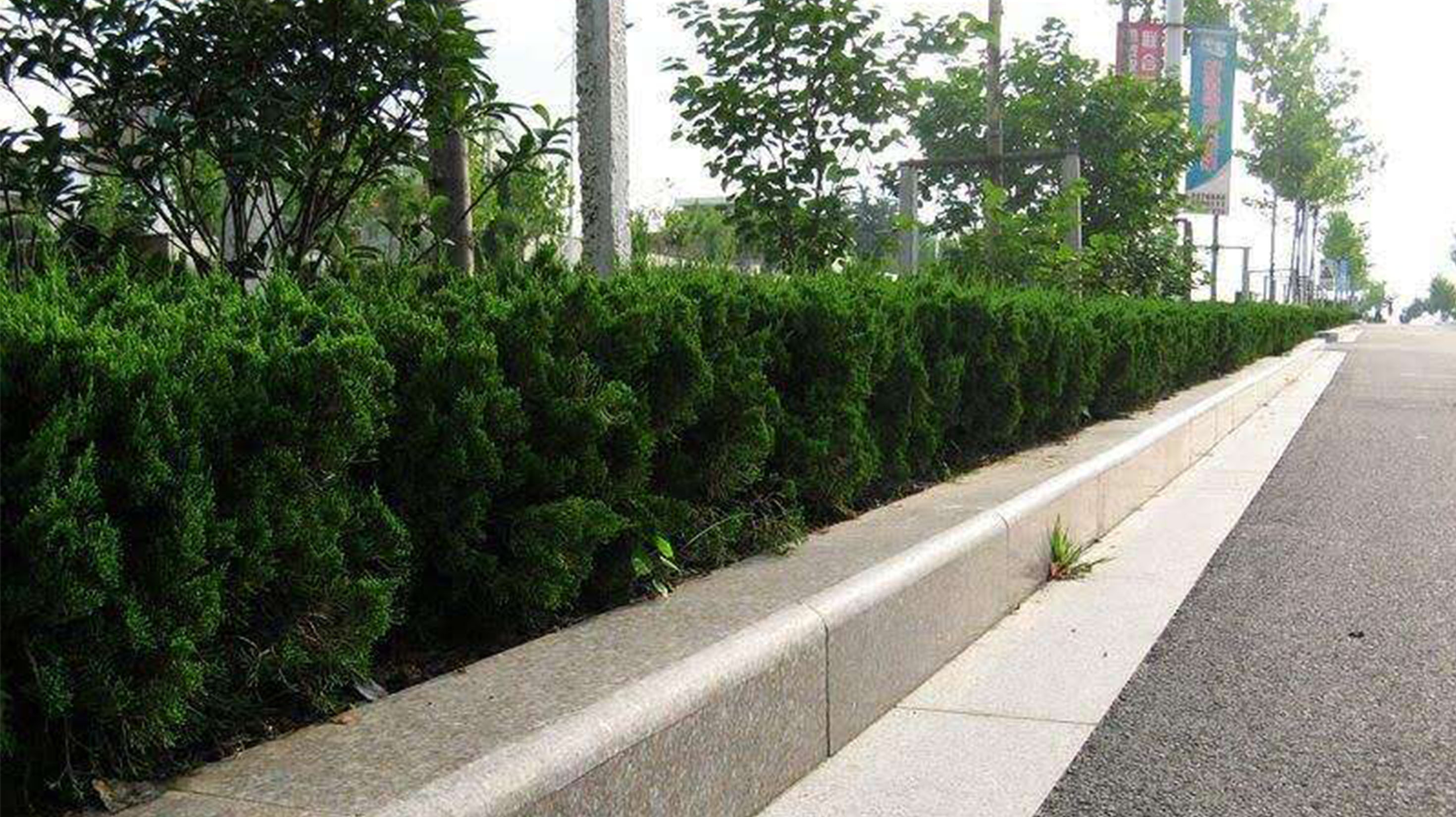 蘇州某公路路沿石完成效果